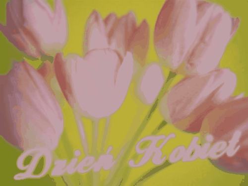 Jasno różowe tulipany przypominają o dniu kobiet